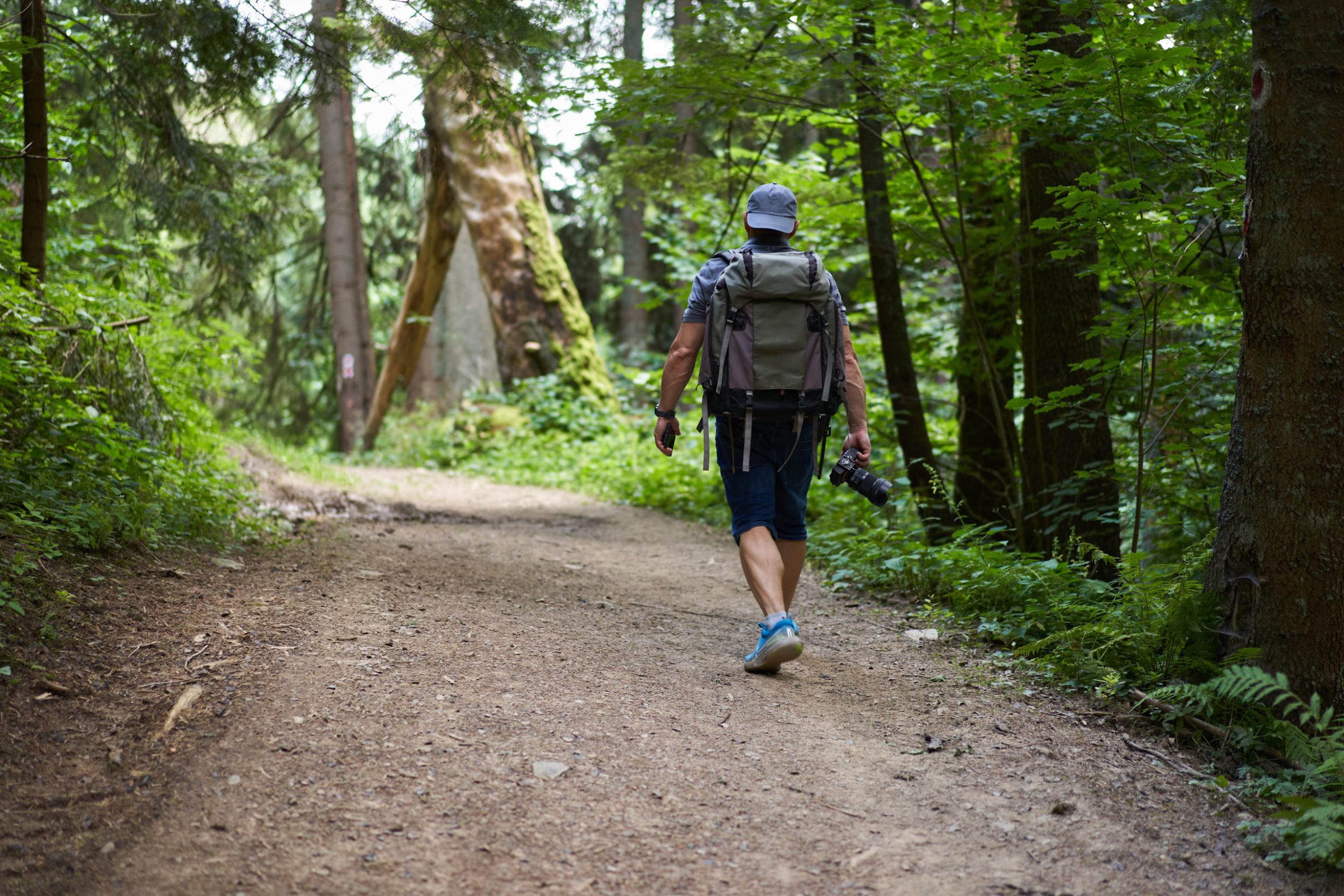 Wandern im Harz